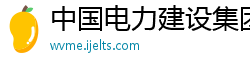 中国电力建设集团贵州工程公司